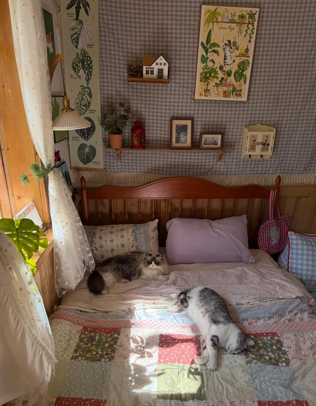 Cụ bà 70 tuổi thầm lặng sống trong căn nhà nhỏ: Tự chăm sóc bản thân, không làm gánh nặng cho con cháu- Ảnh 3. Cụ bà 70 tuổi thầm lặng sống trong căn nhà nhỏ: Tự chăm sóc bản thân, không làm gánh nặng cho con cháu- Ảnh 3.