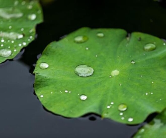 Cách khôn ngoan nhất để xoay chuyển vận mệnh: Gói gọn trong 3 câu nói này - 2