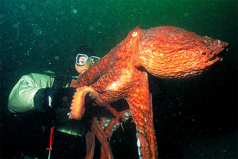 Bất ngờ phát hiện Bất ngờ phát hiện