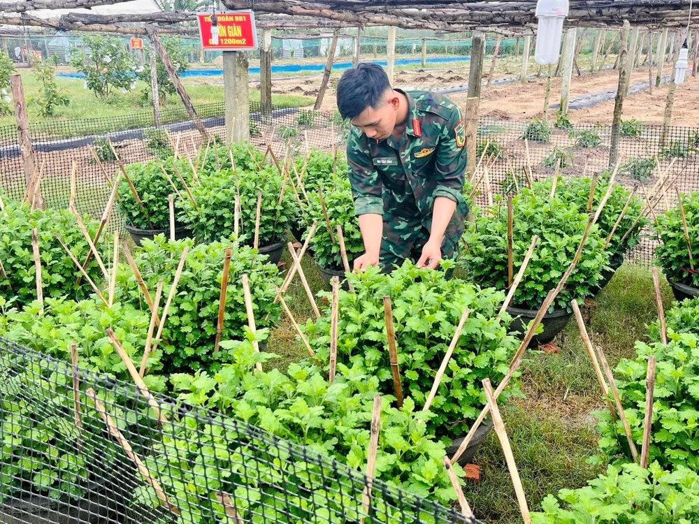 Chăm sóc hoa cúc tại trung đoàn 887. khi-nguoi-linh-hoa-nghe-nhan-dap-linh-vat-ngua-tet-2026-4.jpg