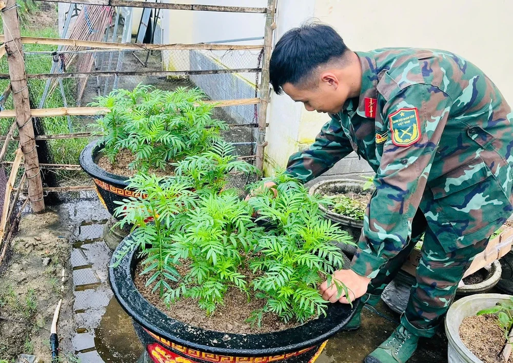 Ngoài cúc, khuôn viên trung đoàn còn có nhiều loại hoa khác. IMG_1766219661163_1766219700711.jpg