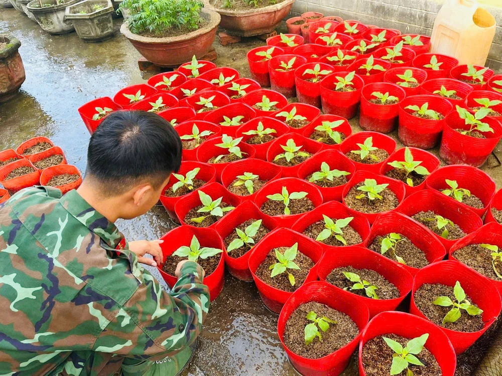 2.000 chậu hoa các loại được các chiến sĩ trồng, chăm sóc kỹ lưỡng. IMG_1766219661187_1766219701194.jpg