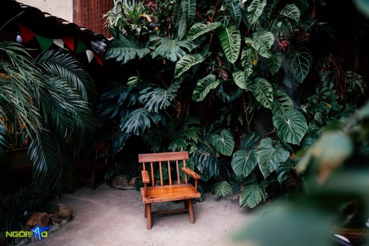 Quán cà phê sân vườn trang trí gấu bông dịp Giáng sinh - 3