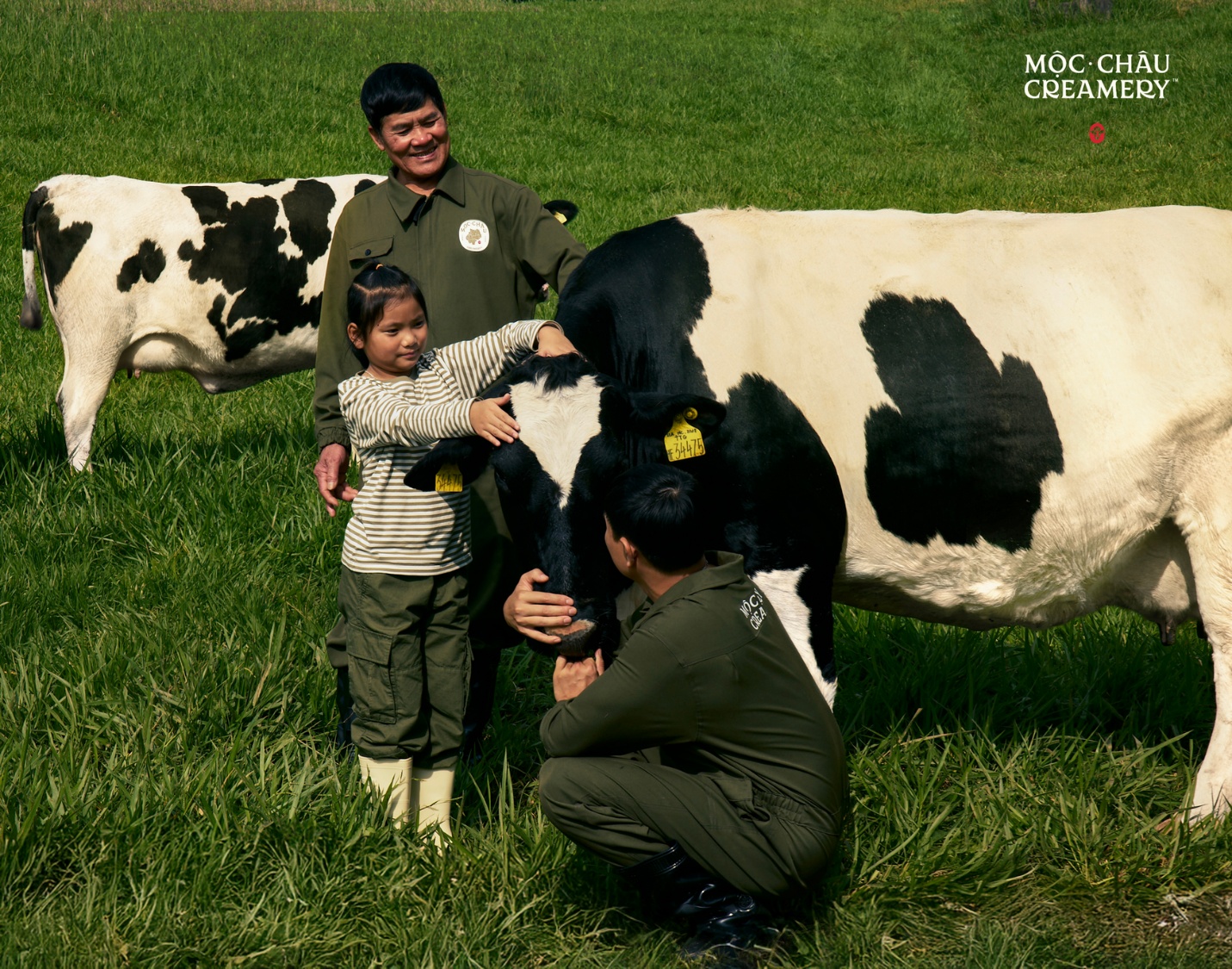 Chính thức ra mắt thương hiệu cao cấp Mộc Châu Creamery- Ảnh 4.