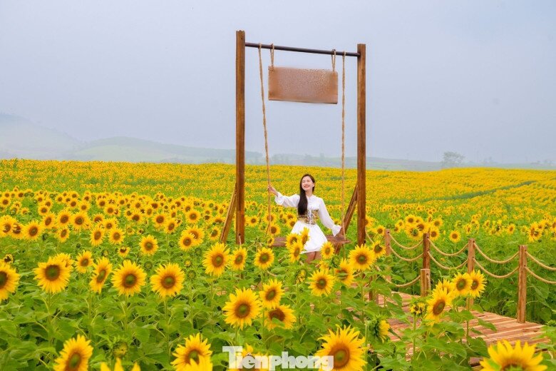 img alt src/upload/4-2025/images/lienntt1/image--2--1766221505-519-width780height520.jpg /