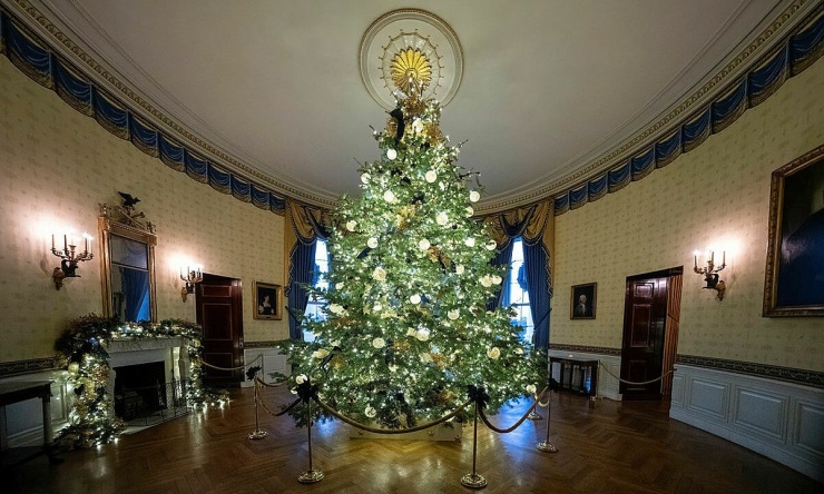 Nhà Trắng trang hoàng chủ đề Giáng sinh đón khách tham quan - 3