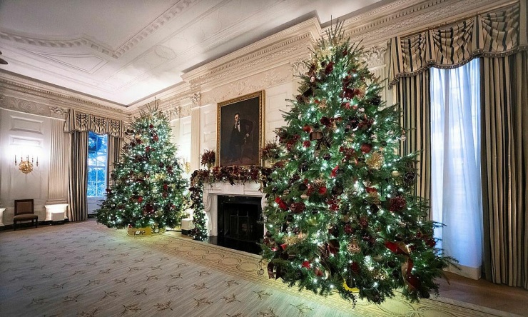 Nhà Trắng trang hoàng chủ đề Giáng sinh đón khách tham quan - 7