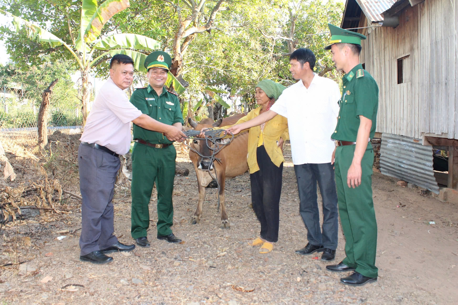 Đổi thay giữa đại ngàn - Ảnh 2.