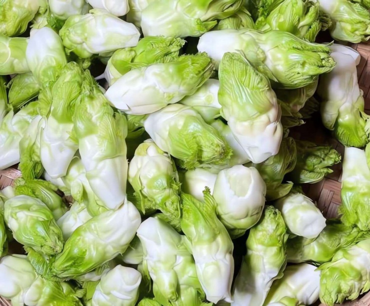 Loại rau chỉ miền núi mới có, ăn đắng ngẫm ngọt, giúp ngủ ngon, sáng mắt, giải độc, xào thịt bò ngon xỉu - 3