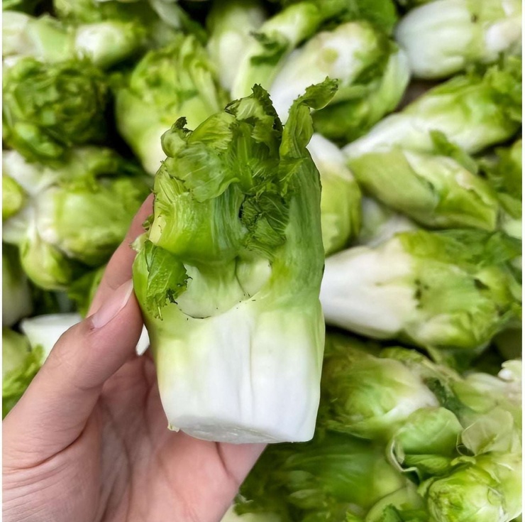 Loại rau chỉ miền núi mới có, ăn đắng ngẫm ngọt, giúp ngủ ngon, sáng mắt, giải độc, xào thịt bò ngon xỉu - 4