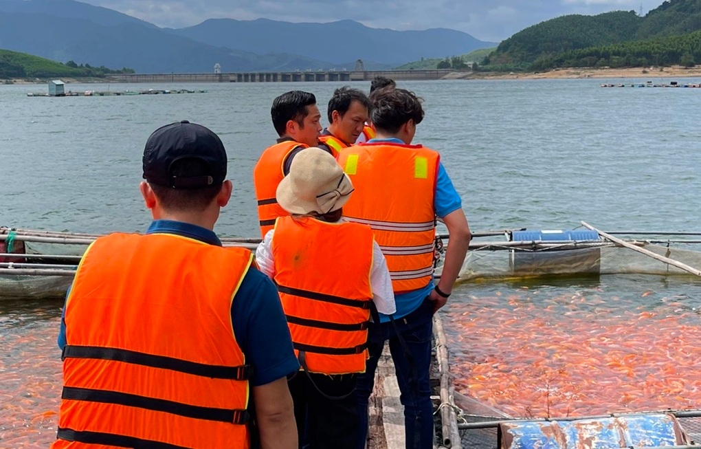 Nhiều nông dân thành triệu phú nhờ nuôi cá lần đầu xuất qua Nhật Bản - 3