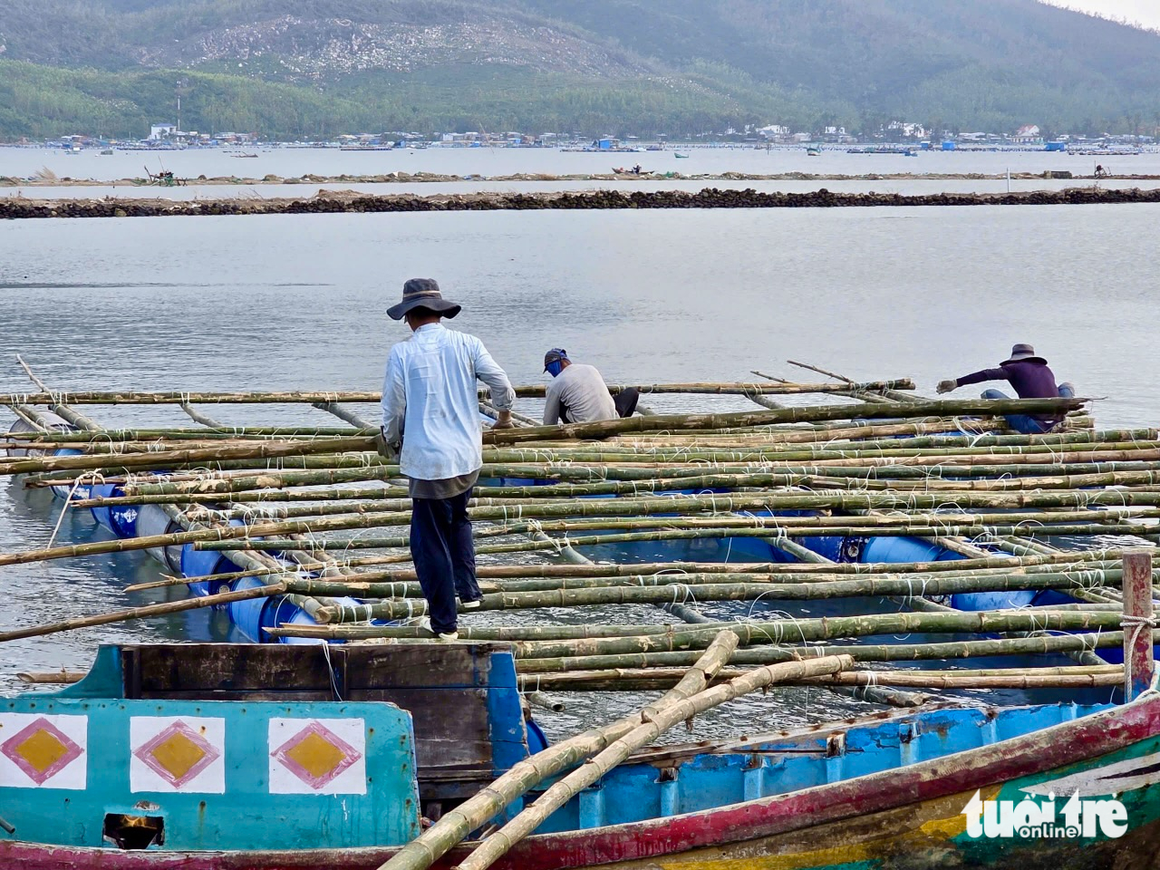 ‘Thủ phủ tôm hùm’ gượng dậy - Ảnh 3.