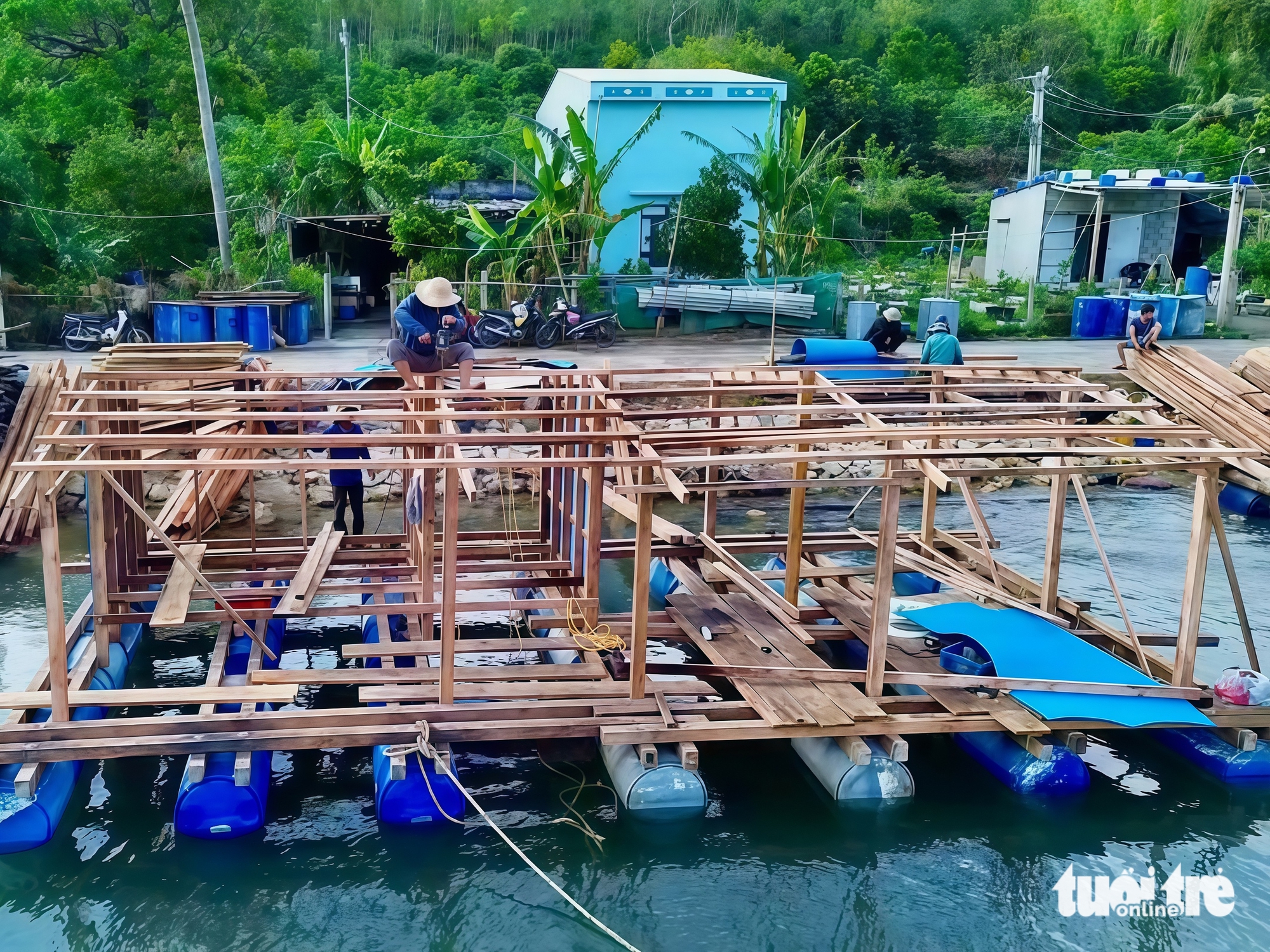 tôm hùm - Ảnh 7.