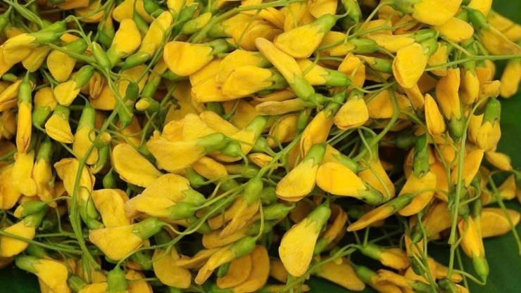 Loài hoa giàu chất chống oxy hóa, chế biến thành nhiều món ngon - 2