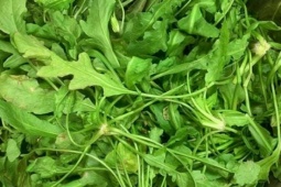 Loại rau dại ít người biết, ngon hơn rau hẹ, bổ hơn bắp cải, dưỡng gan, tốt cho mắt, làm nhân sủi cảo cực thơm