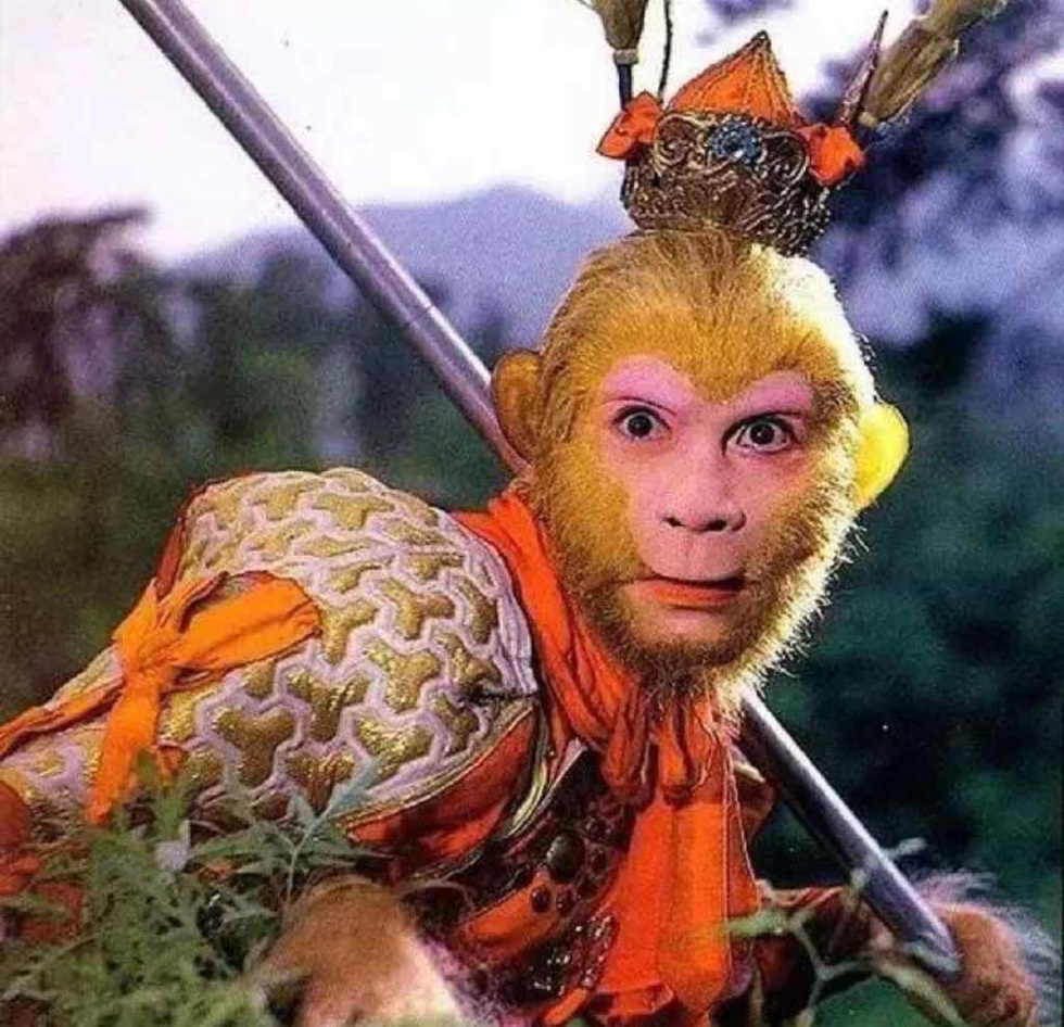 Nỗi oan gần 40 năm của “Tôn Ngộ Không” Lục Tiểu Linh Đồng - 2