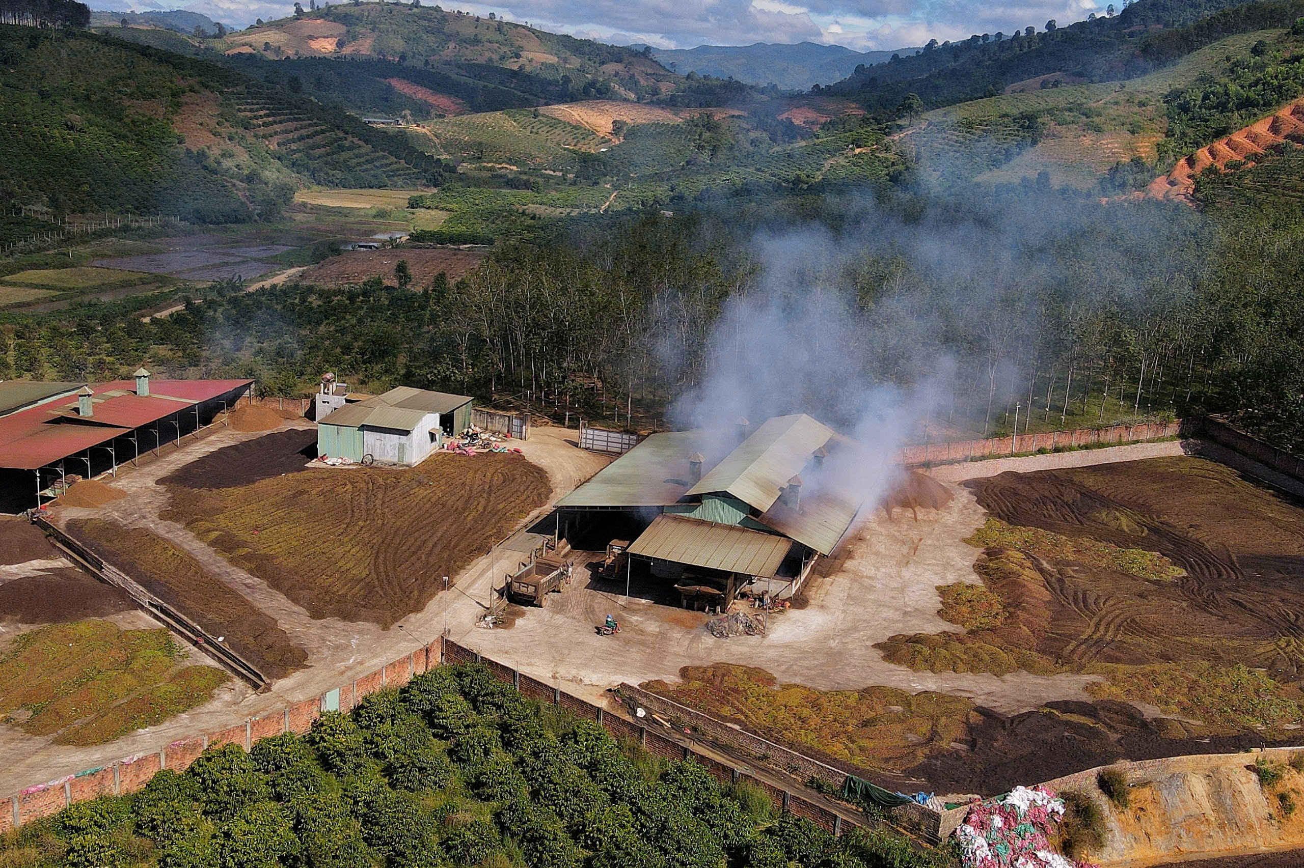 cà phê - Ảnh 4.