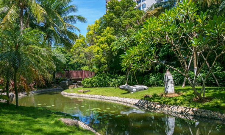 Không gồng mình ở thành phố, cặp vợ chồng 60 tuổi bán nhà 30 tỷ đồng về quê dưỡng già: nuôi mèo, trồng rau, nghĩ thôi đã thấy an nhàn- Ảnh 2.