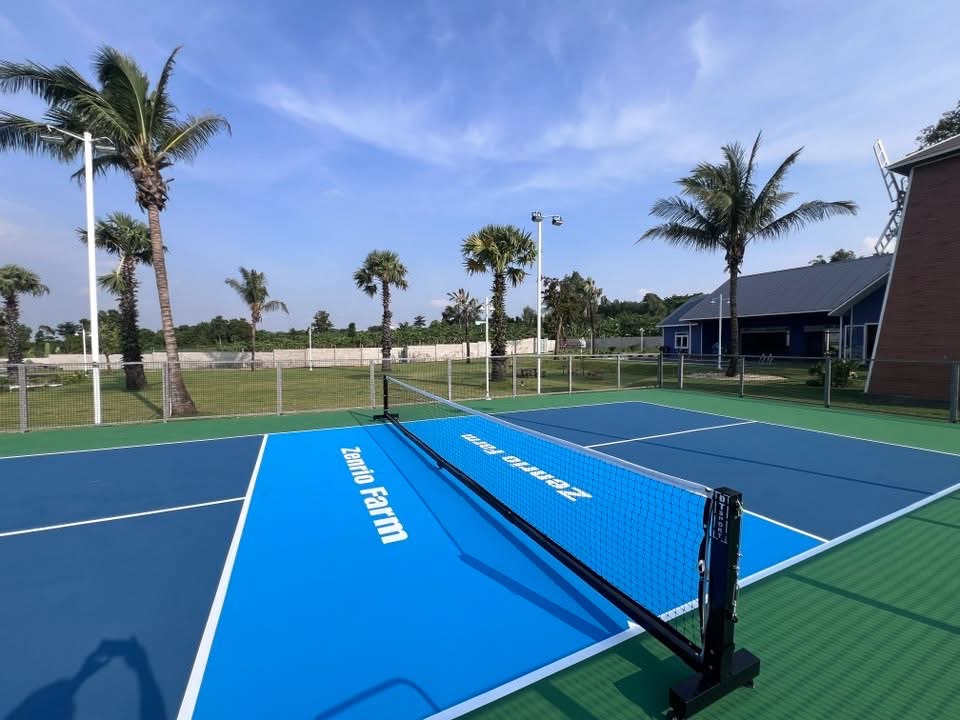 TP.HCM: Phường đầu tiên cho phép xây sân pickleball trên đất hoang hóa   - Ảnh 2.