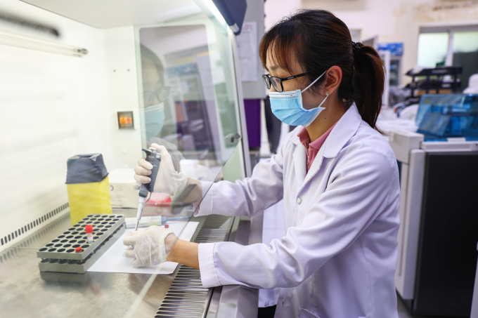 Bác sĩ, nhân viên y tế Viện Pasteur TP HCM nghiên cứu, xét nghiệm, tháng 8/2025. Ảnh: Quỳnh Trần