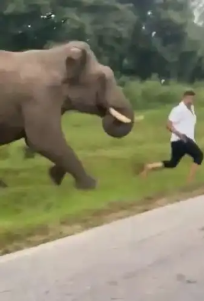 Cảnh báo gấp cho ai hay chụp ảnh tự sướng- Ảnh 5.