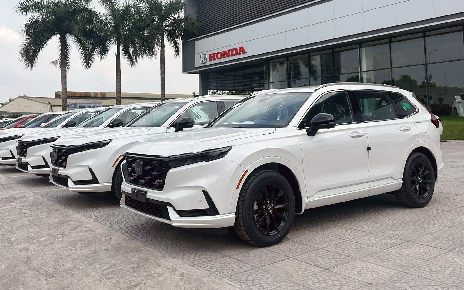 giảm giá - Ảnh 3.