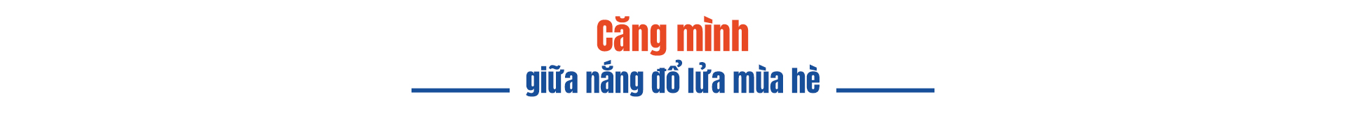 Những người thợ áo cam 'mưa không biết chạy, nắng không biết trốn' 6 1766388819 920 Nhung nguoi tho ao cam mua khong biet chay nang