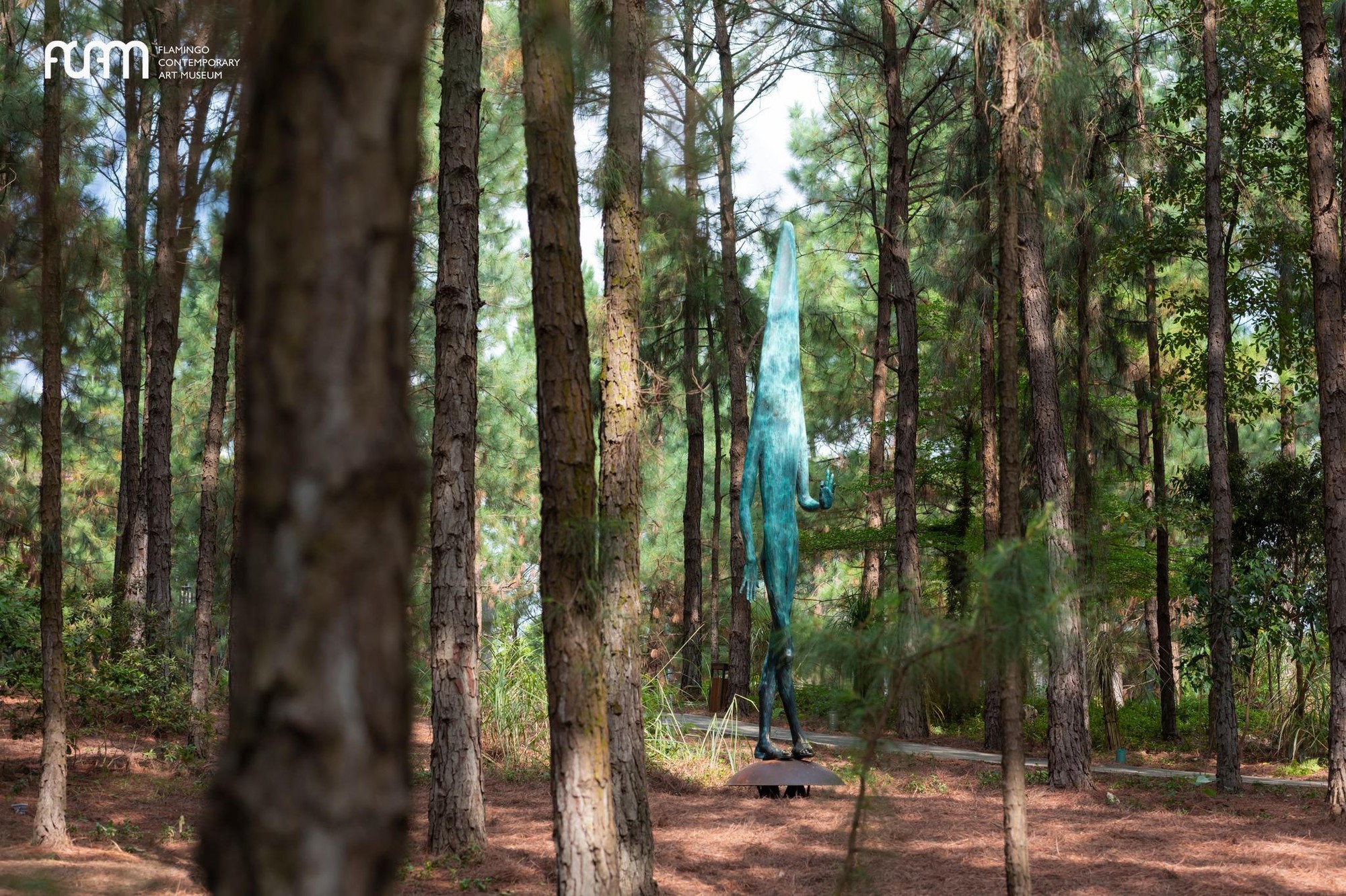 Cuối năm rồi, đi đâu để vừa “đổi gió” vừa có ảnh xịn mang về?- Ảnh 2.