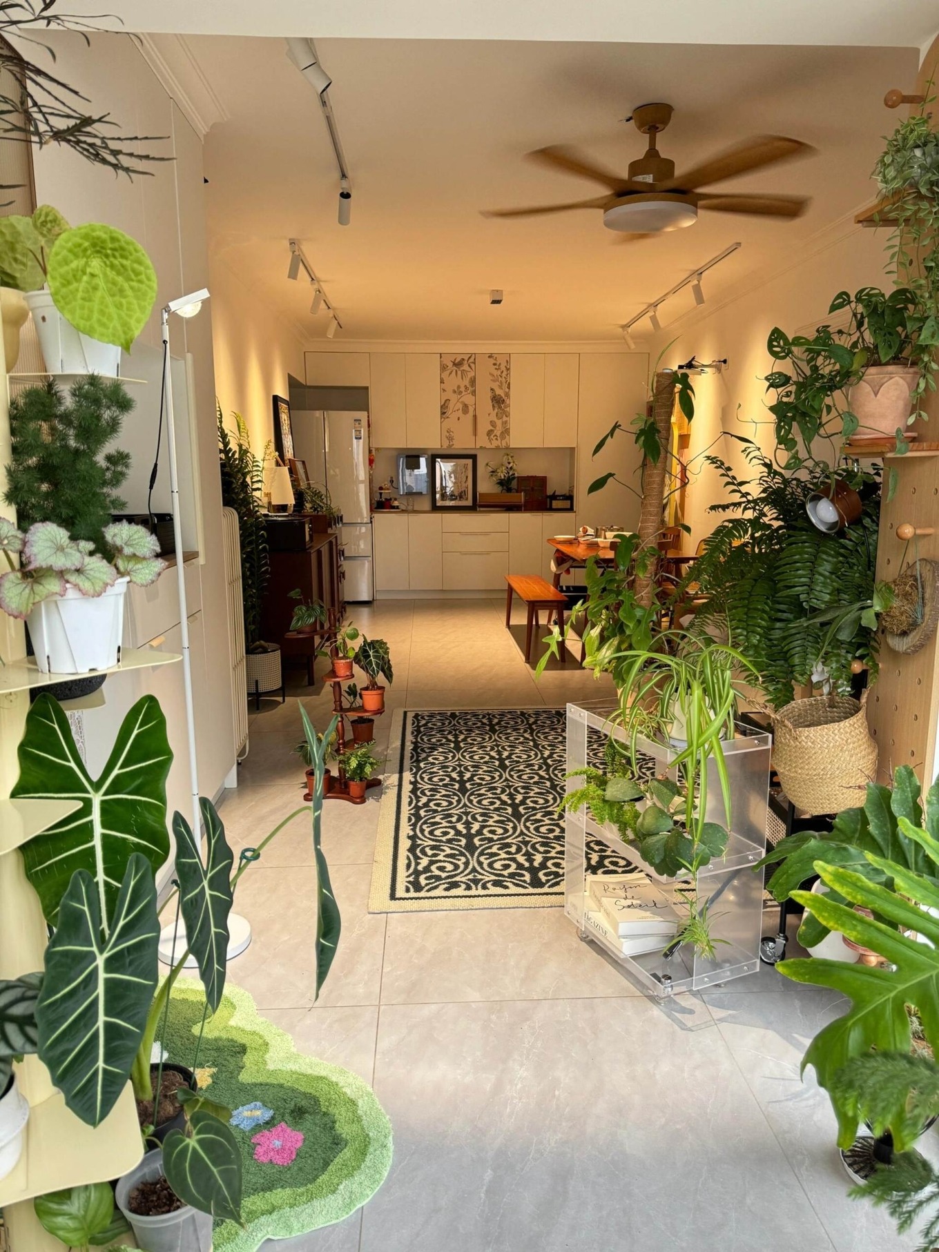 5 dấu hiệu nhận biết ngôi nhà đang lên vận, báo hiệu 2026 lộc lá hanh thông- Ảnh 3.