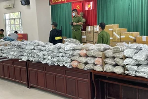 C04 phá đường dây sang Thái Lan trồng Cần Sa rồi đưa về Việt Nam tiêu thụ