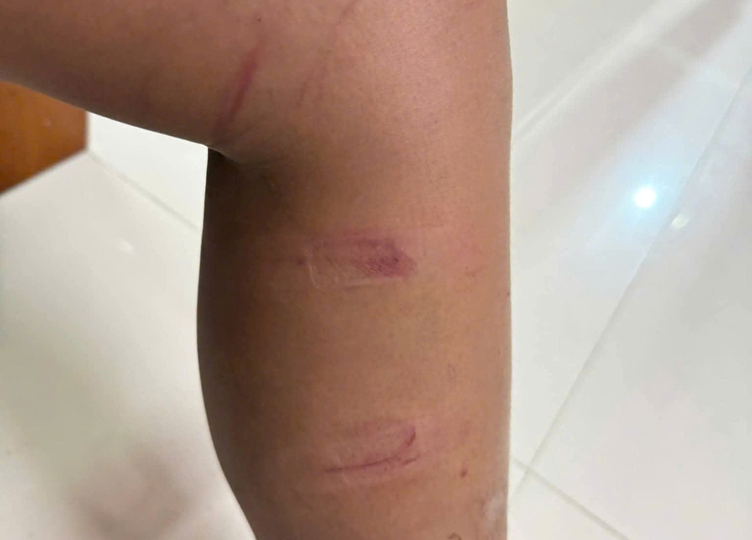 Quảng Ngãi - Ảnh 3.