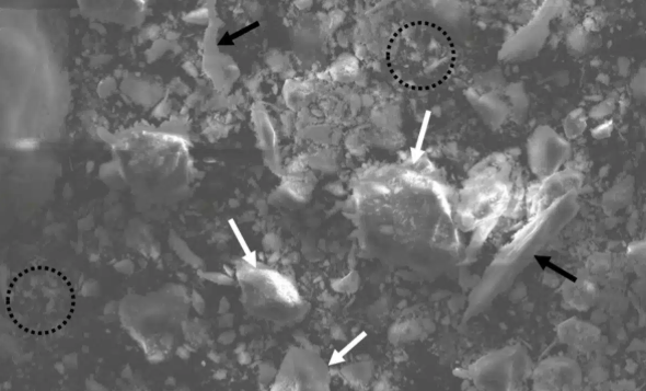 Phát hiện 38 mỏ khoáng sản chỉ trong 3 tháng, trong đó có khoảng 19 tấn vàng- Ảnh 2.