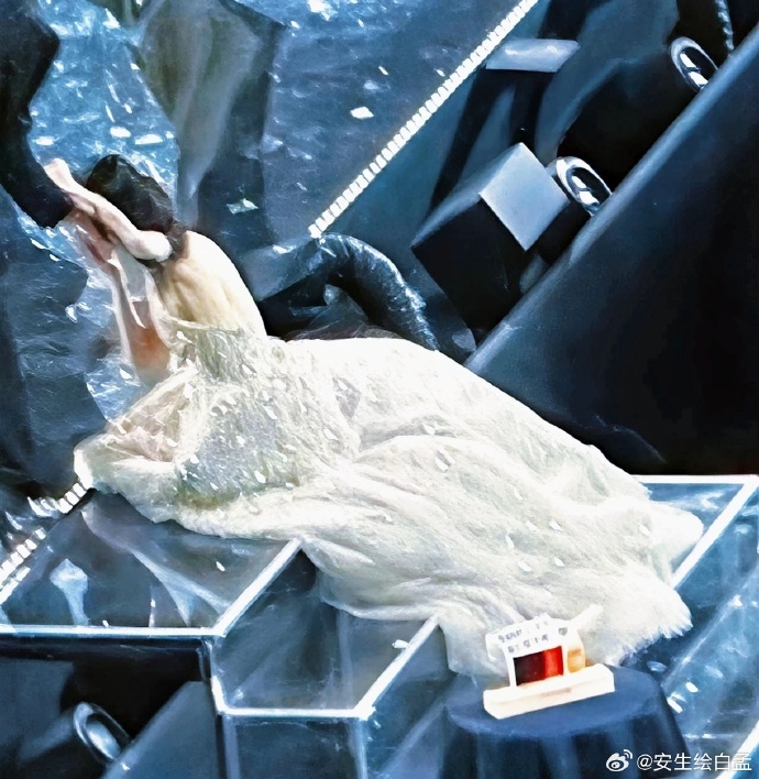 1766412148 945 Manh Tu Nghia nga nhao duoc 70 trieu nguoi cau