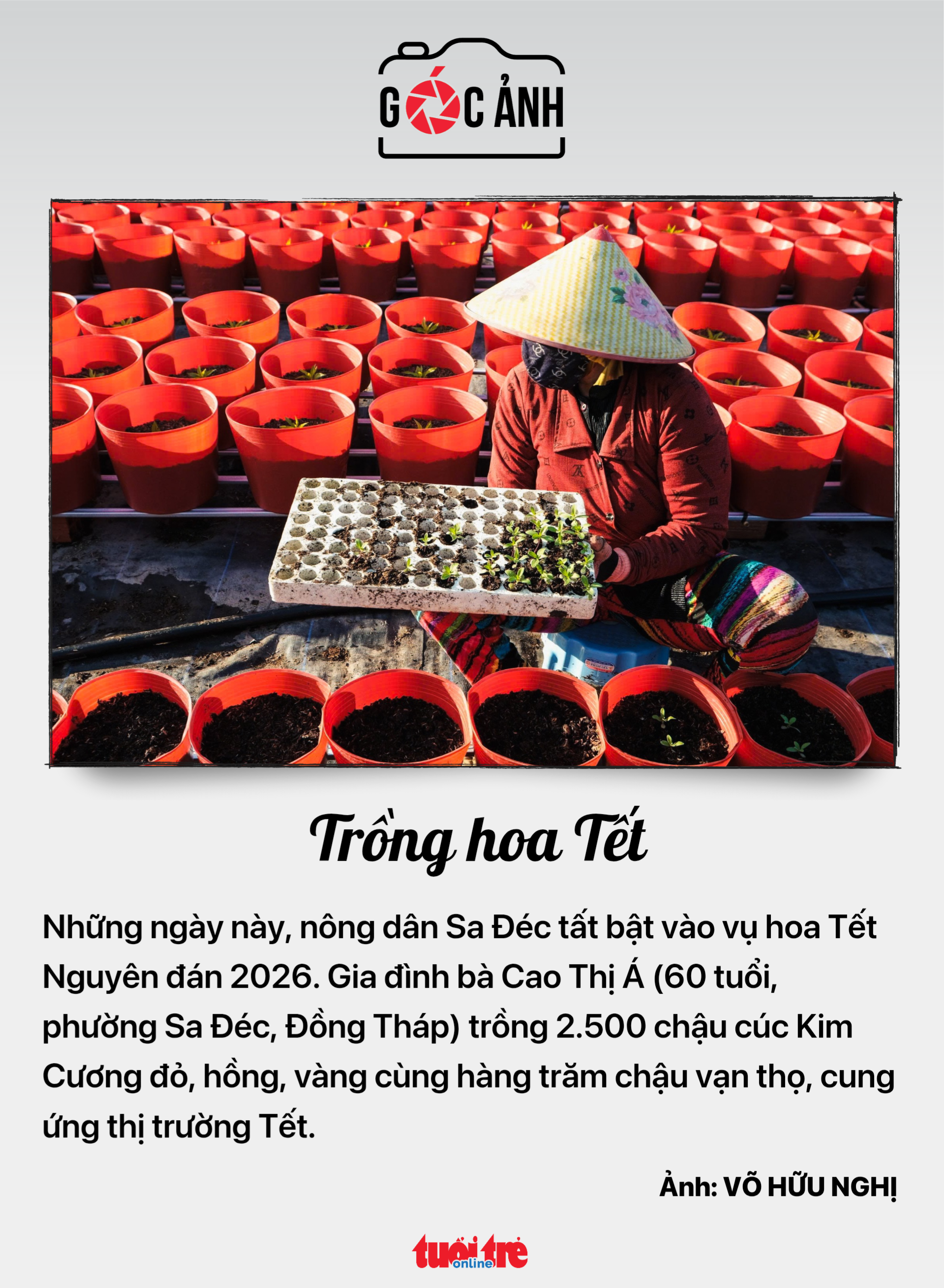 sổ đỏ - Ảnh 7.