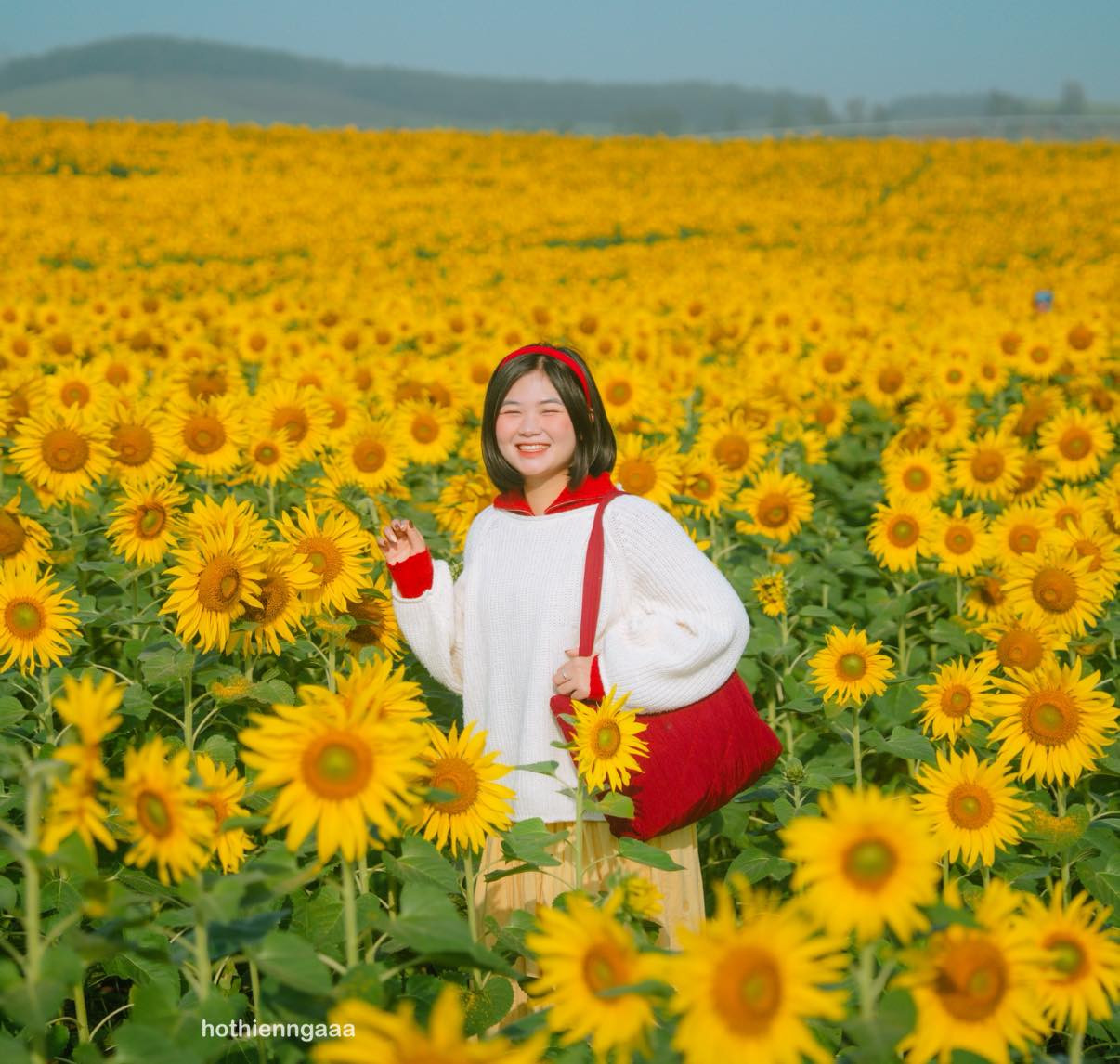 Cánh đồng hoa hướng dương ở Nghệ An cách Hà Nội 250km , điểm check - in lý tưởng - Ảnh 5.