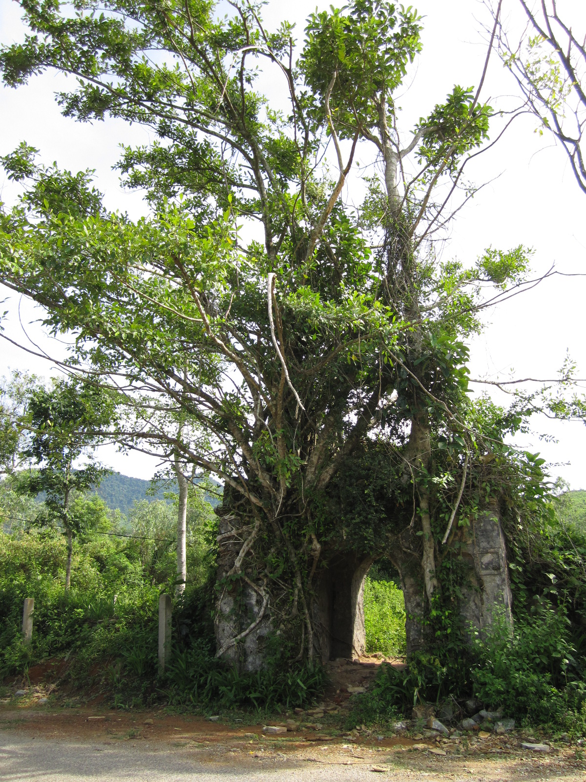 Cuộc khởi nghĩa Cần Vương đầu tiên - Ảnh 5.