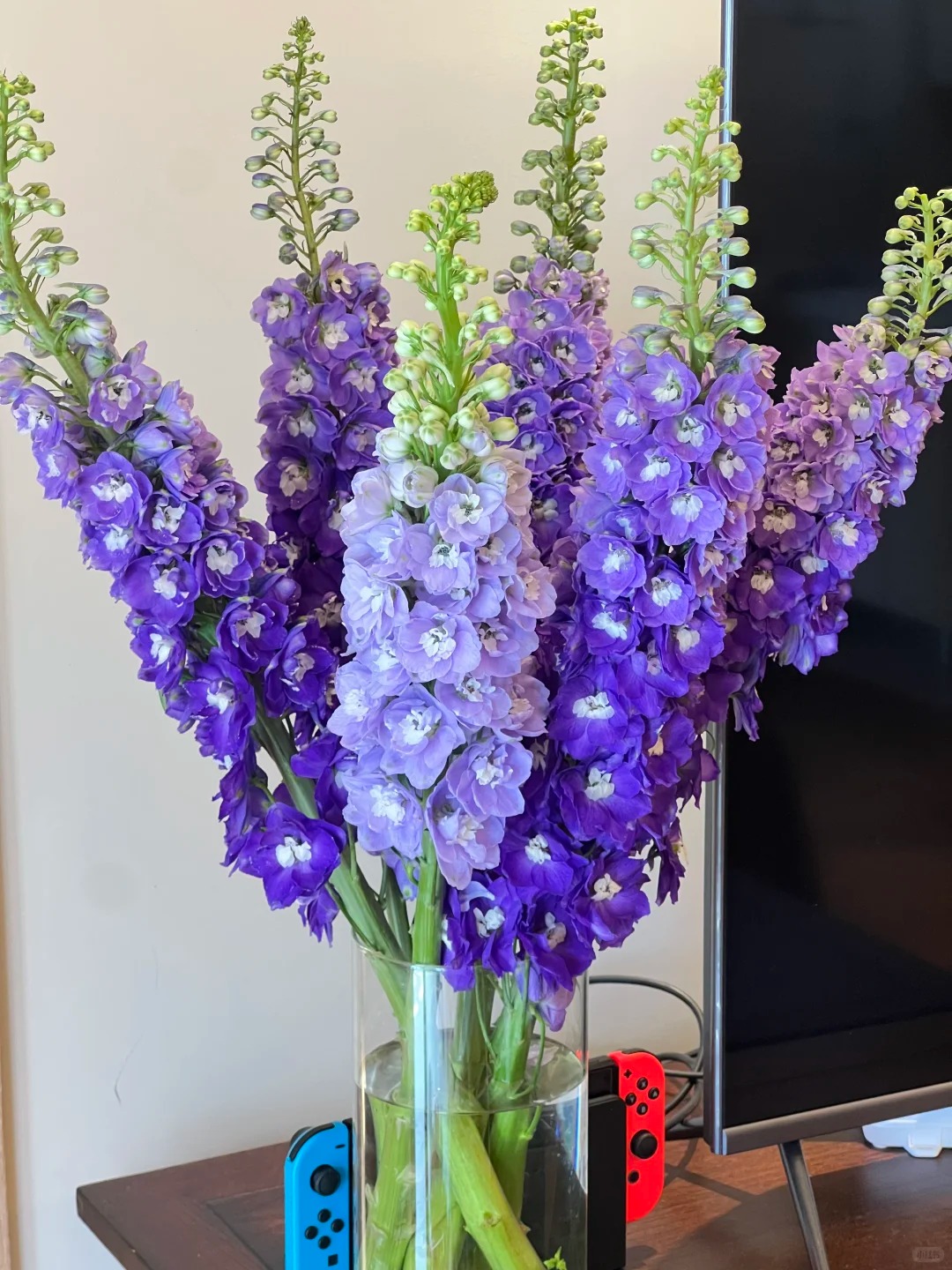 Muốn nhà sang như Tây dịp Tết, thử ngay phi yến xanh: Người mới chơi chớ dại mua loại này kẻo 