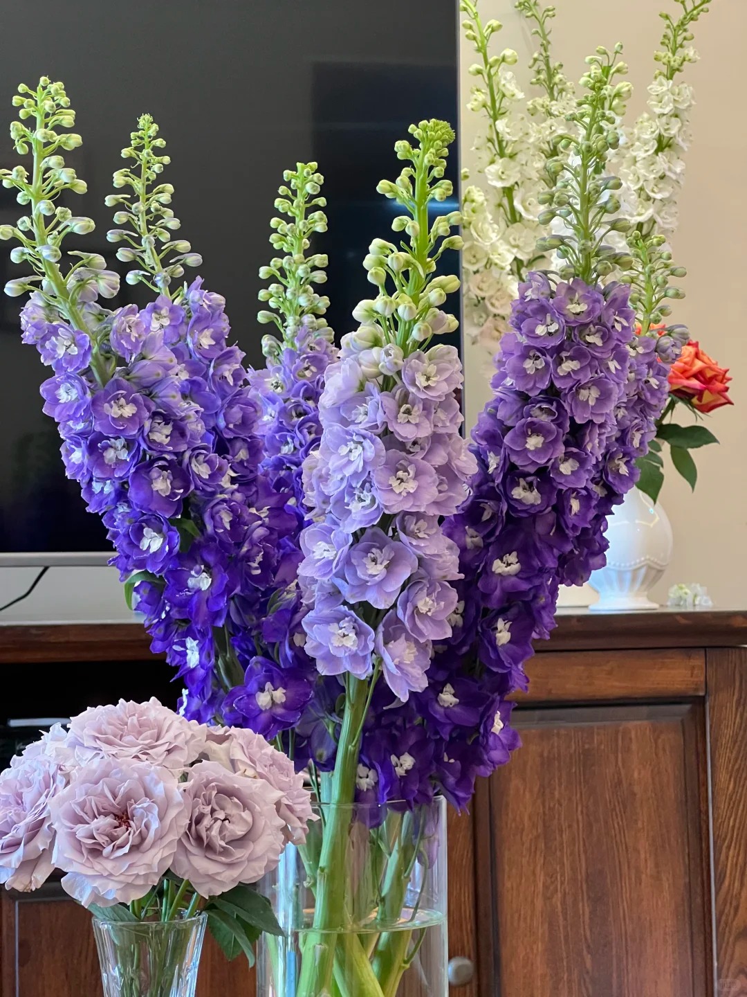 Muốn nhà sang như Tây dịp Tết, thử ngay phi yến xanh: Người mới chơi chớ dại mua loại này kẻo 