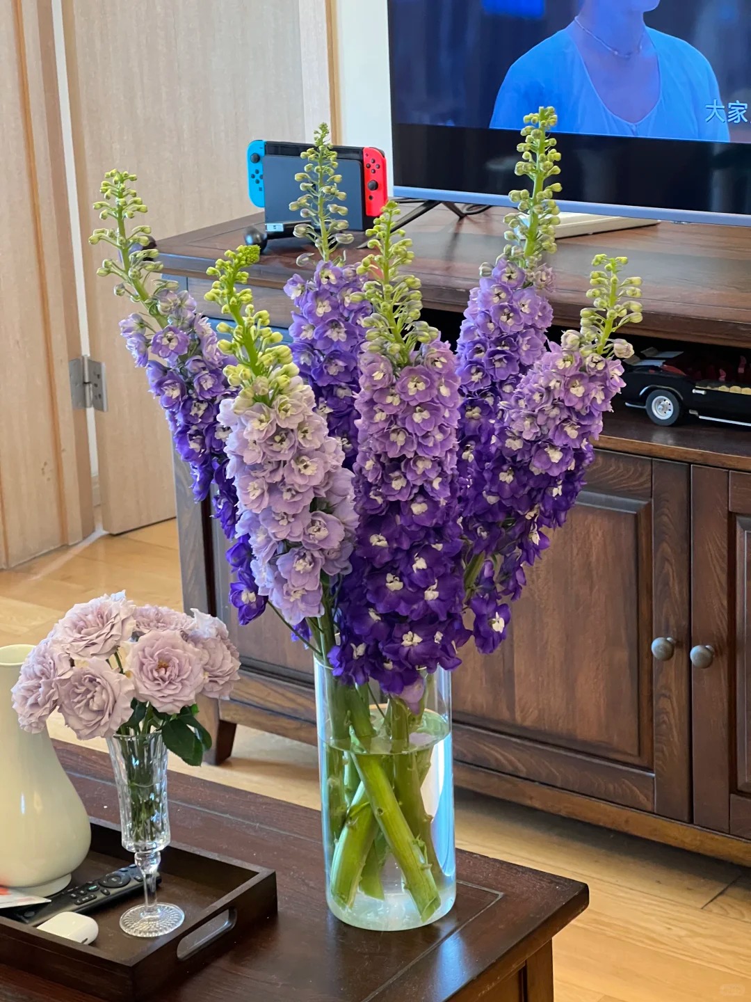 Muốn nhà sang như Tây dịp Tết, thử ngay phi yến xanh: Người mới chơi chớ dại mua loại này kẻo 