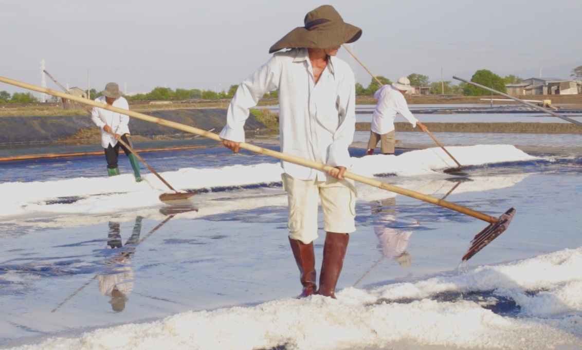 Liên kết để mở lối sinh kế bền vững - Ảnh 4.