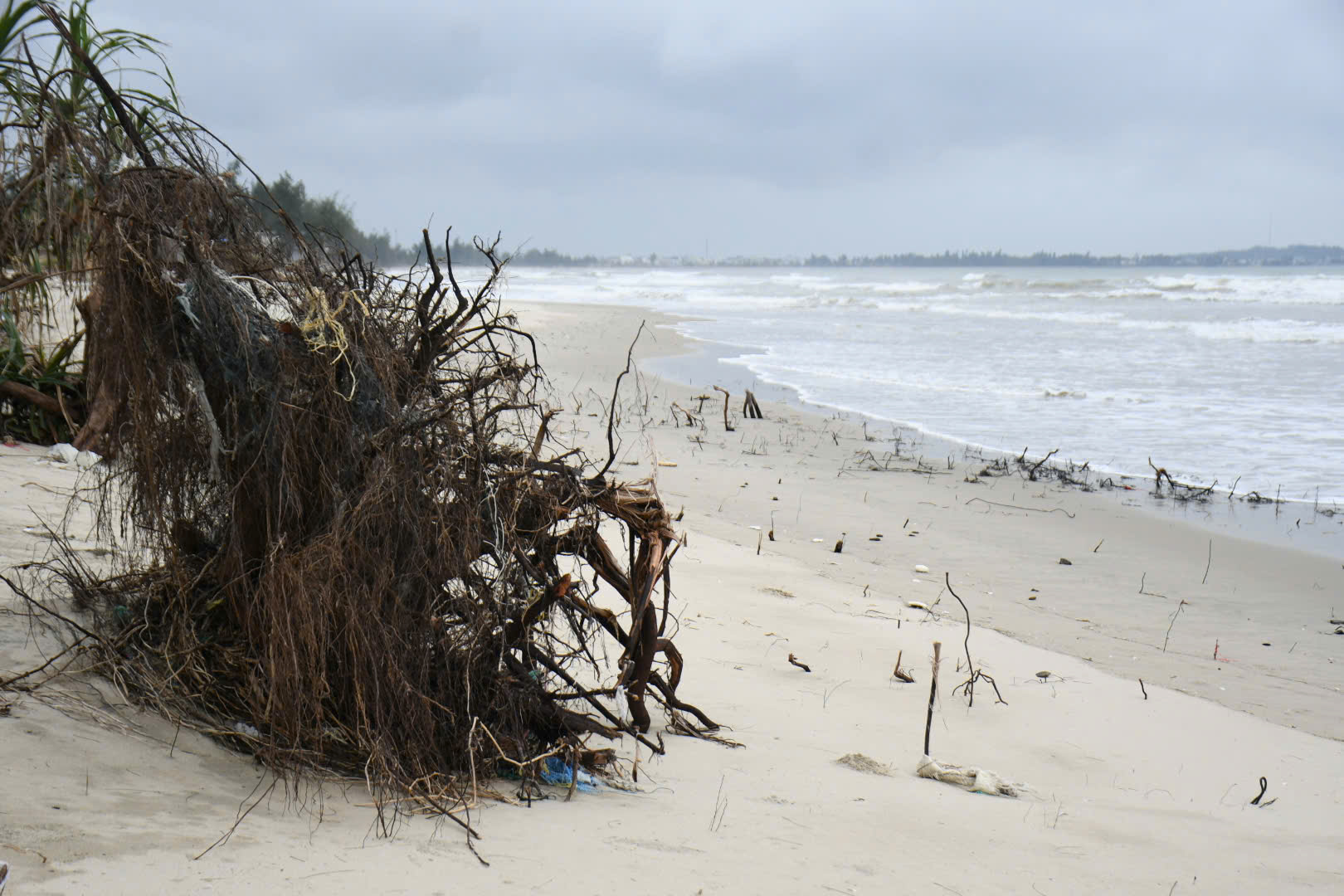 Bãi biển Mỹ Khê nguy cơ bị xóa sổ do triều cường lớn bất thường 