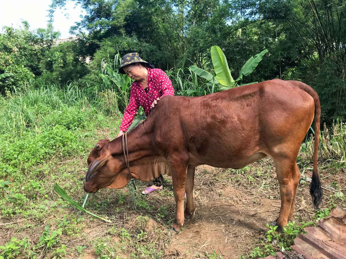 điện gió - Ảnh 2.