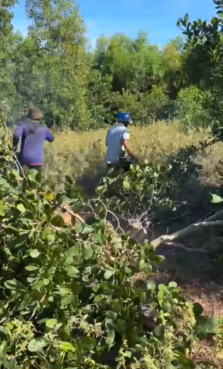 Cưỡng chế thu hồi hơn 3 ha đất rừng bị lấn chiếm trái phép ở Mũi Né - Ảnh 3.