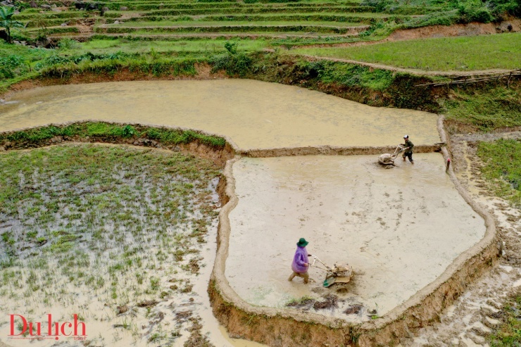 Độc đáo di sản ruộng bậc thang vào mùa nước đổ ở Sơn Tây Thượng - 6