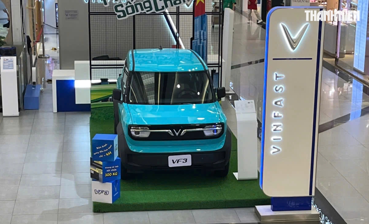 VinFast dẫn đầu thị trường ô tô Việt Nam năm 2025 với doanh số ấn tượng - Ảnh 2.