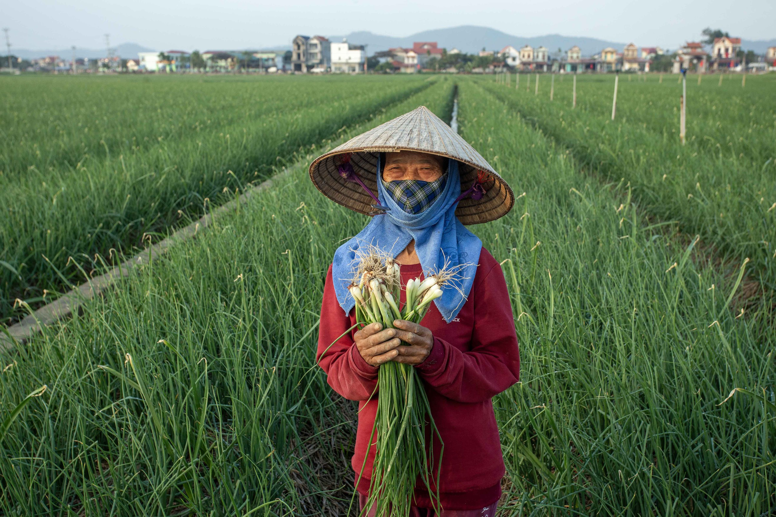 Giỏ quà nông sản Việt dự báo đắt hàng dịp Tết Bính Ngọ 2026 - Ảnh 3.