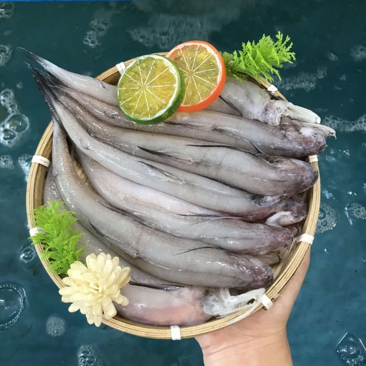 Cá khoai chứa lượng đạm vừa phải, ít chất béo, giàu canxi. Ảnh minh họa