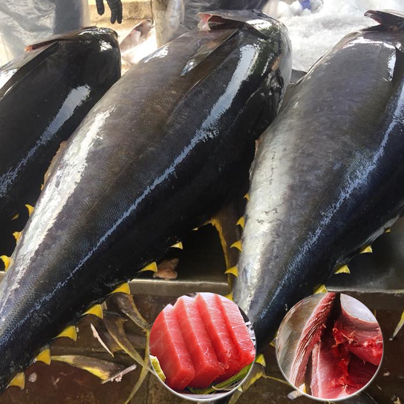 Top 4 hải sản chứa nhiều thủy ngân bậc nhất- Ảnh 3.