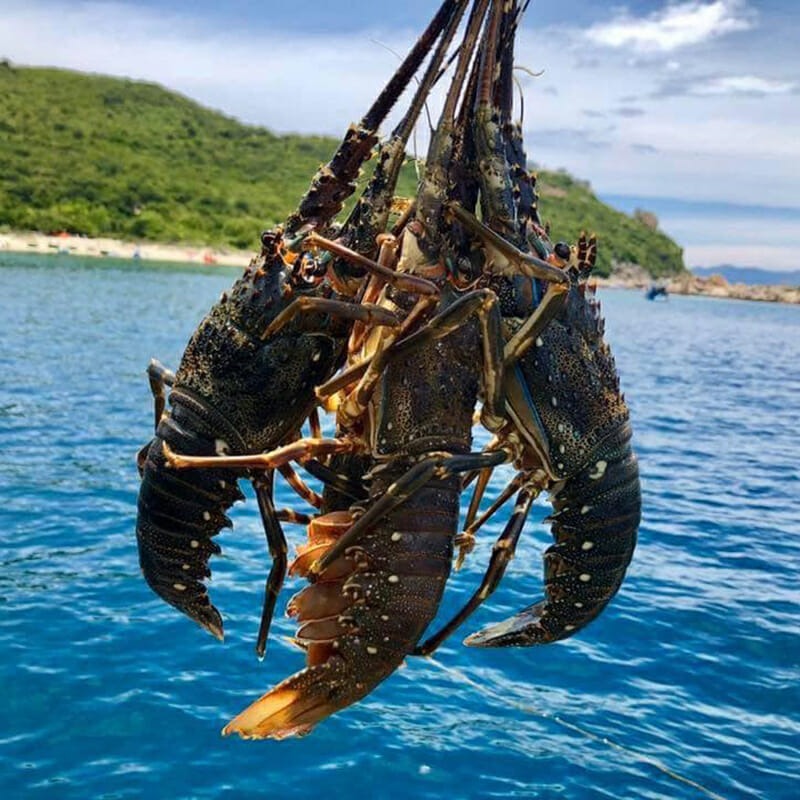 Top 4 hải sản chứa nhiều thủy ngân bậc nhất- Ảnh 4.