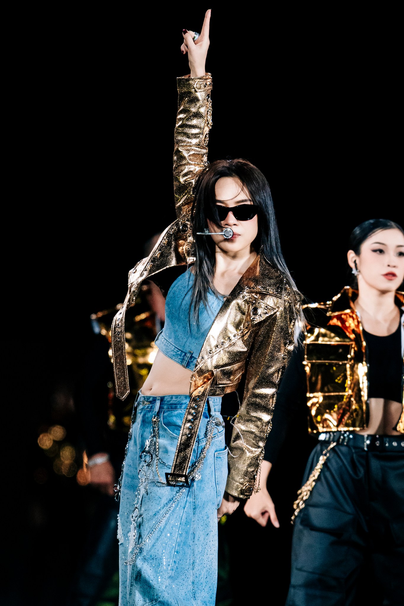 Ca sĩ đỉnh nhất Việt Nam- Ảnh 2.